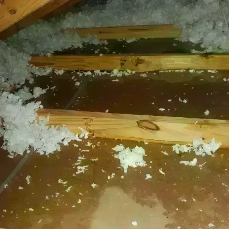 Attic Water Damage in Pemberton, NJ